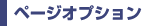 ページオプション
