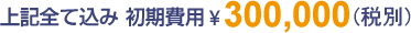 上記全て込み 初期費用\300000(税別)